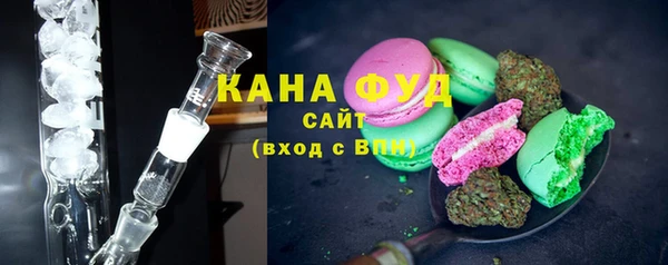 индика Осинники