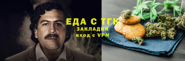 индика Осинники