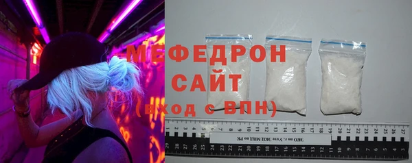 индика Осинники