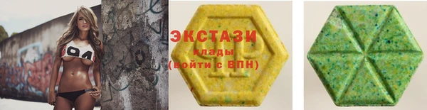 индика Осинники