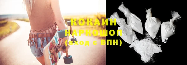 индика Осинники