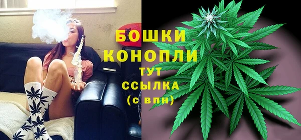 индика Осинники