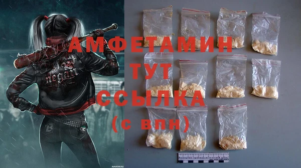 индика Осинники
