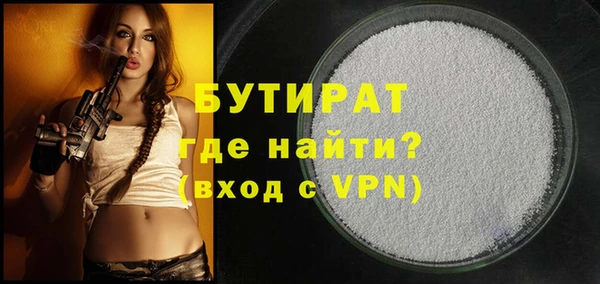 индика Осинники
