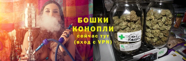 индика Осинники