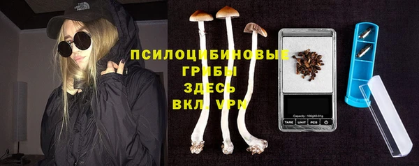 индика Осинники